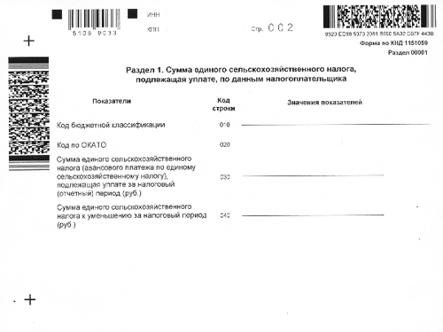 10062 код налоговой тайны. Штрих код налоговой декларации. Двухмерный штрихкод на декларации. Штрихкод в форме. Форма декларации со штрихкодом.