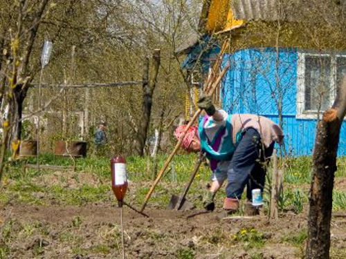 Дача началась. Начало огородного сезона. С началом дачного огородного сезона. После дачи. Начался огородный сезон.